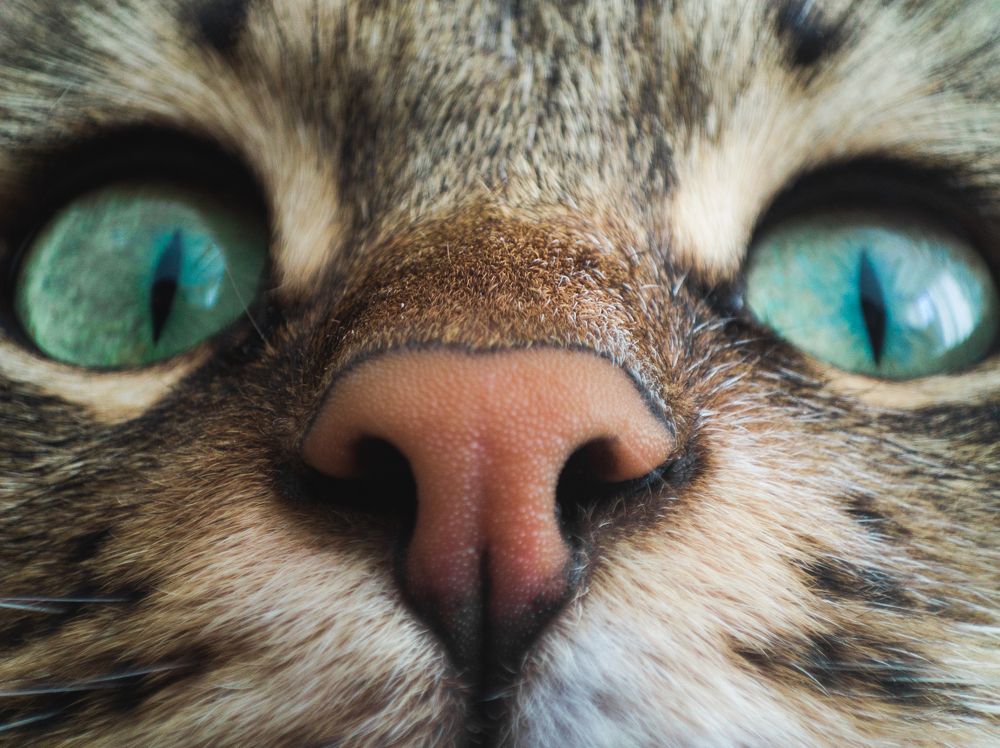 Photograph by mobin the abstract