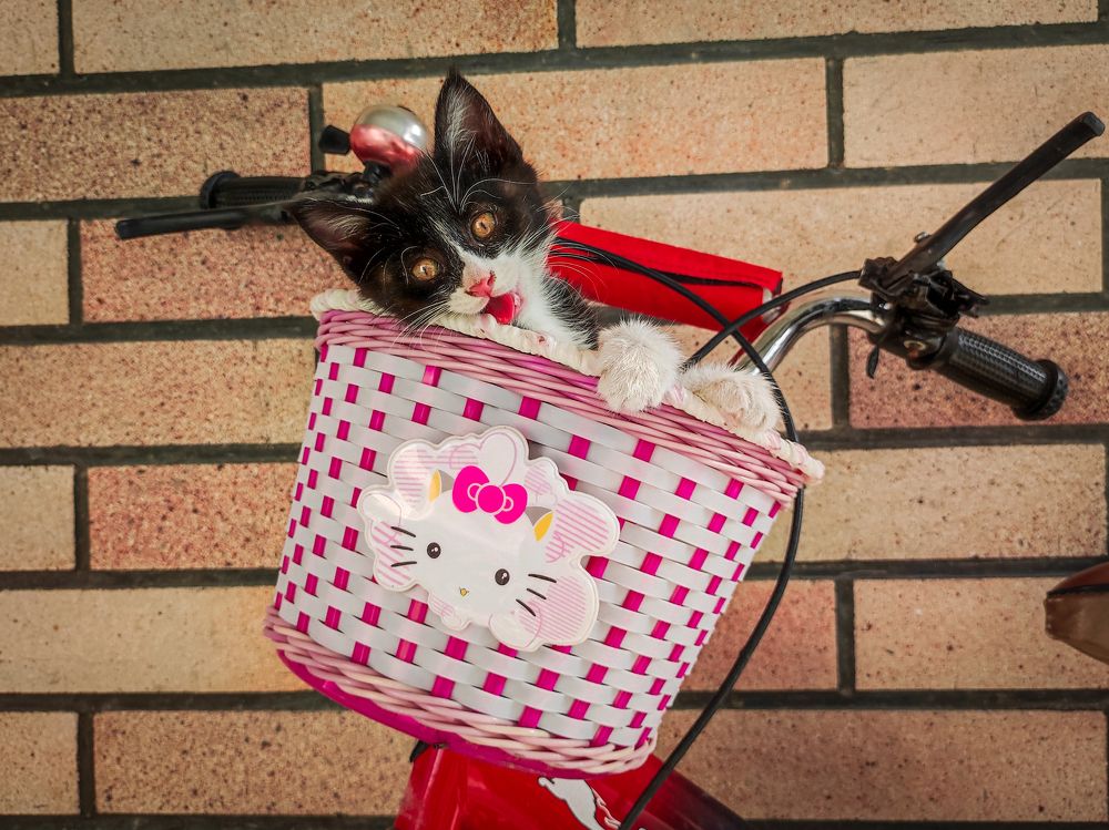 Photograph by mobin the abstract