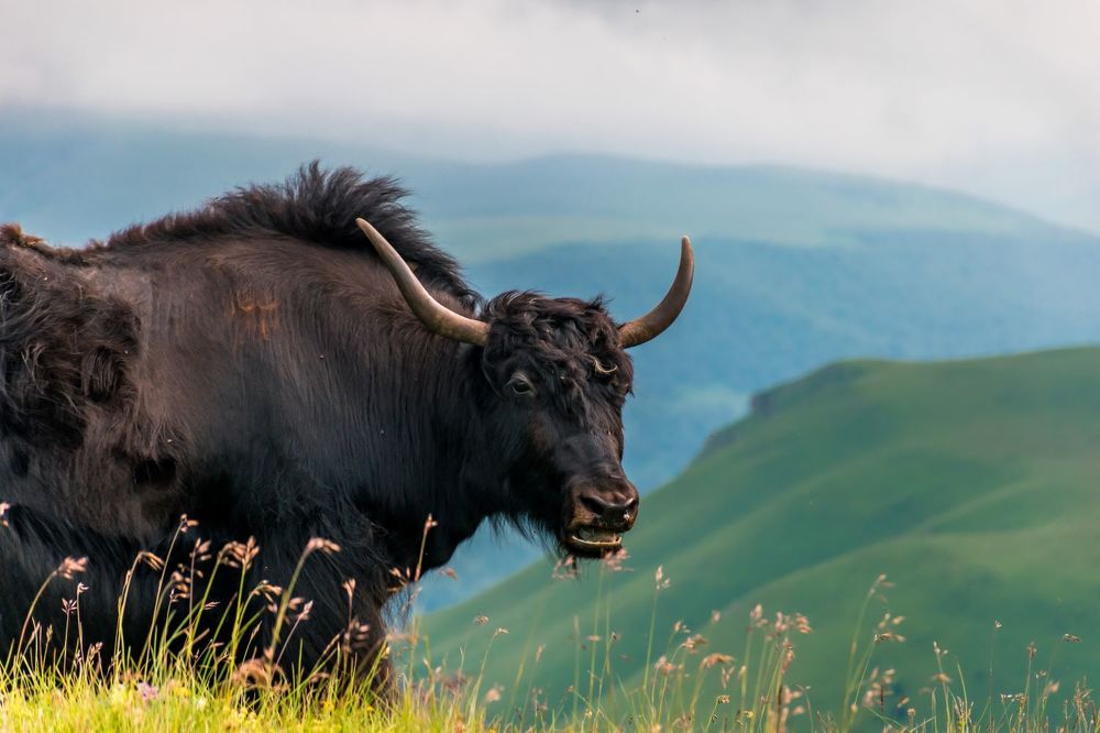 Photograph by Галина Эмберг