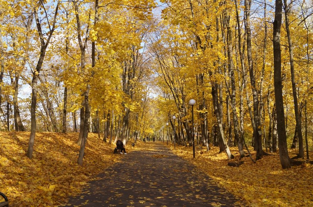 Photograph by Анна Богданова