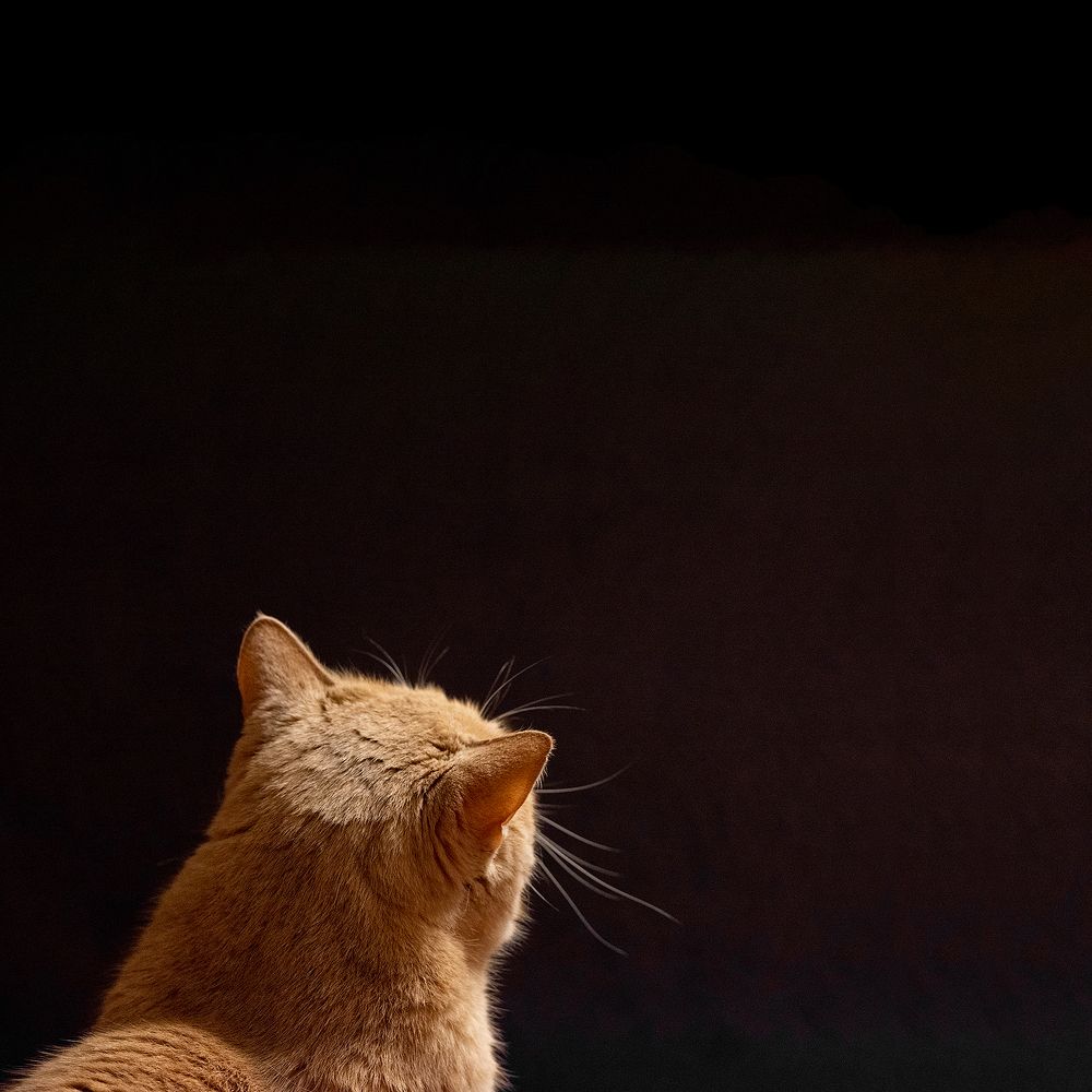 Photograph by Лебедев Кирилл