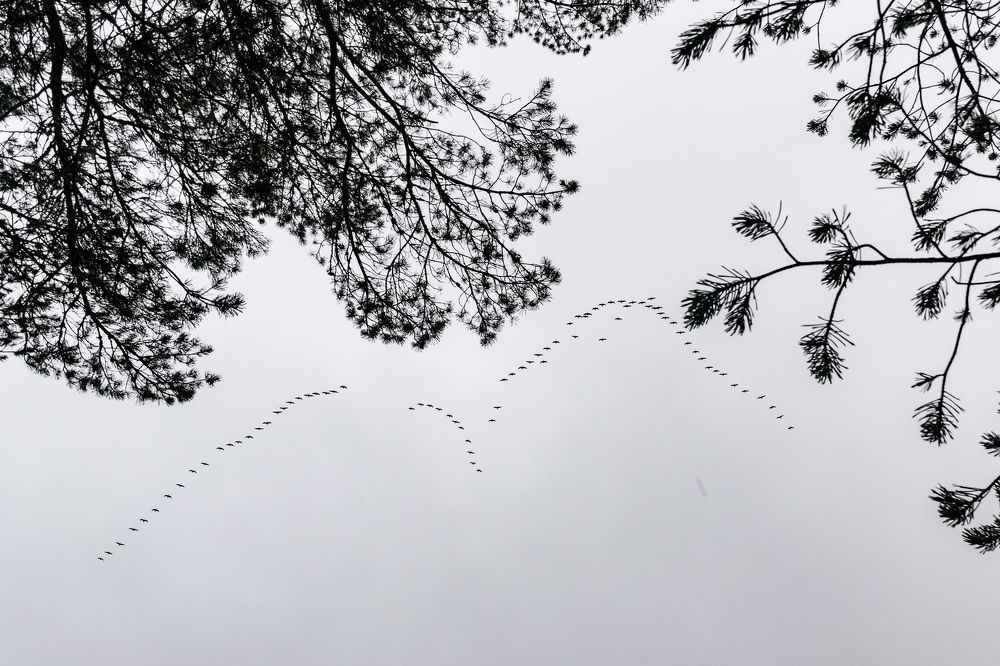 Фотография автора Рохмистрова Мария