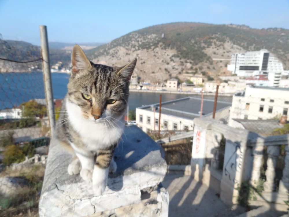 Photo #9652707