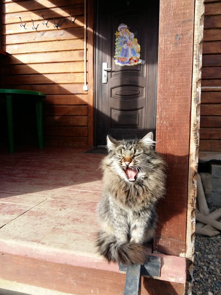 Photograph by Павел Савинский
