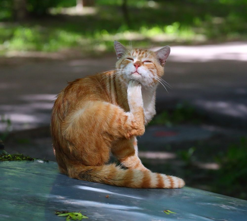 Photograph by Станислав Вершинин