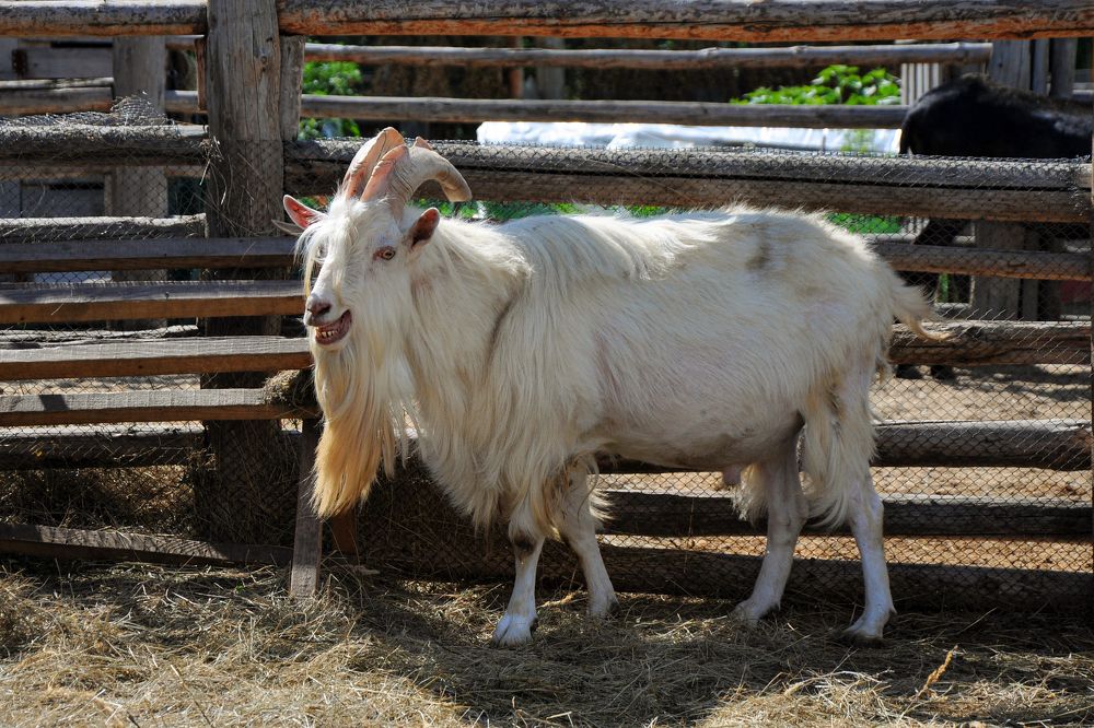 Photograph by Юлия Козельских