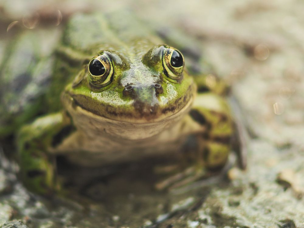 Photograph by Ирина Протченко