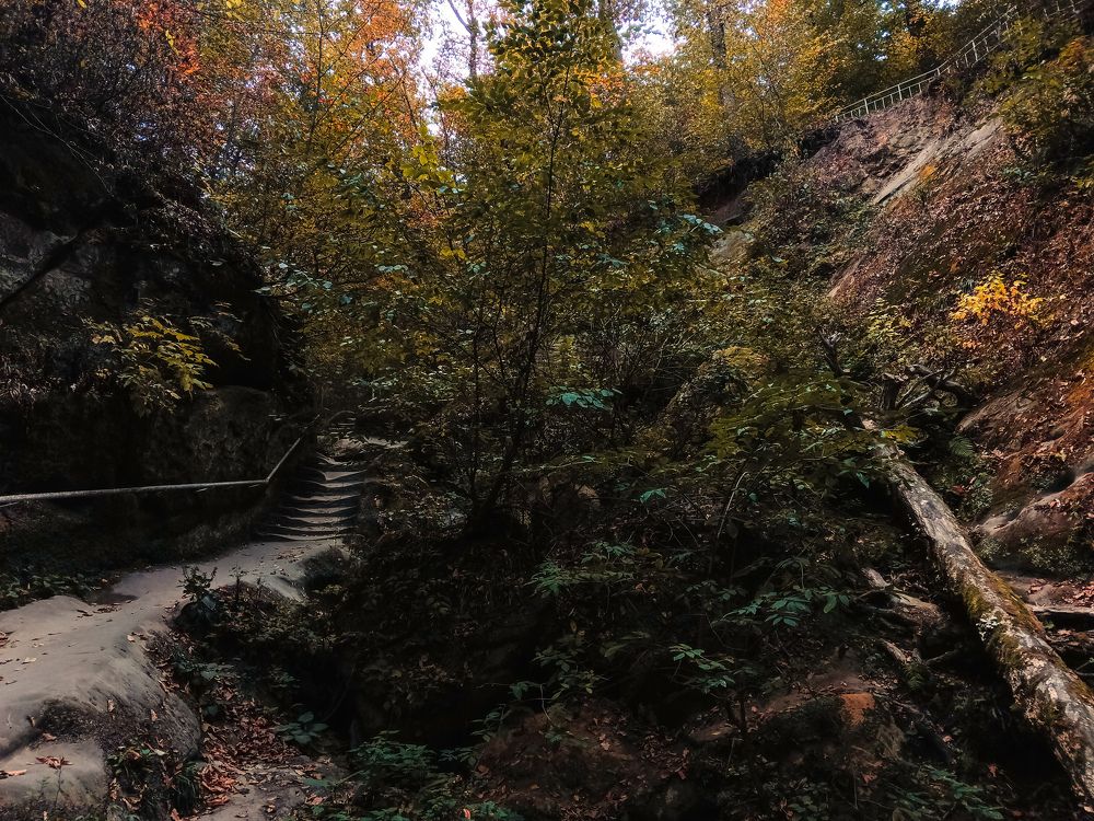 Photograph by Егор Арнаутов