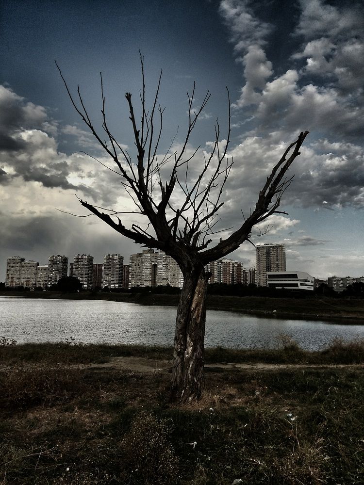 Photograph by Павел Савинский