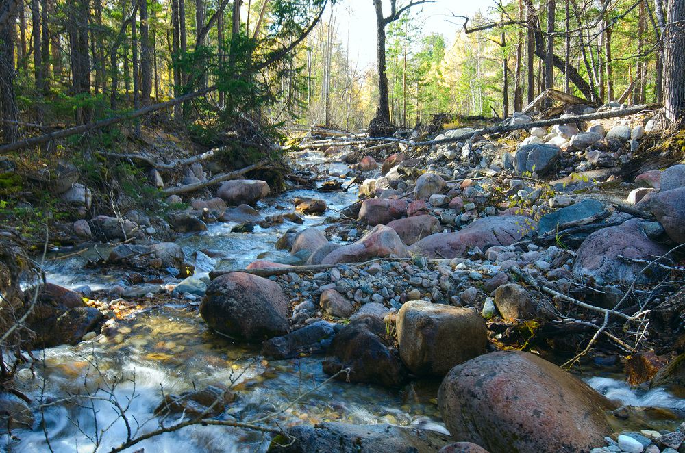 Photograph by Юрий Самойлов