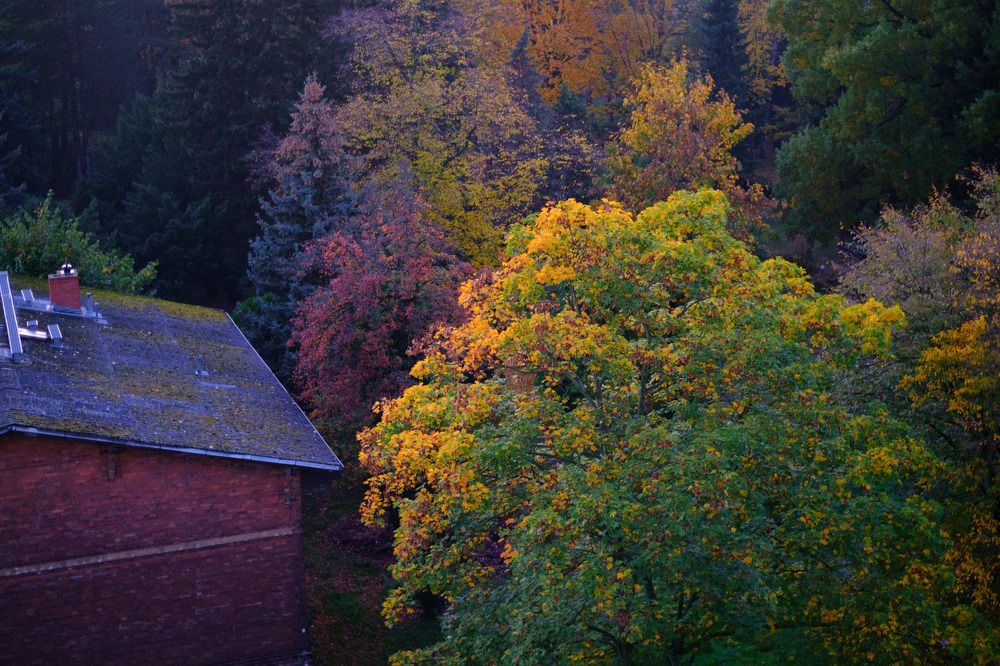 Photograph by Misha Khazov