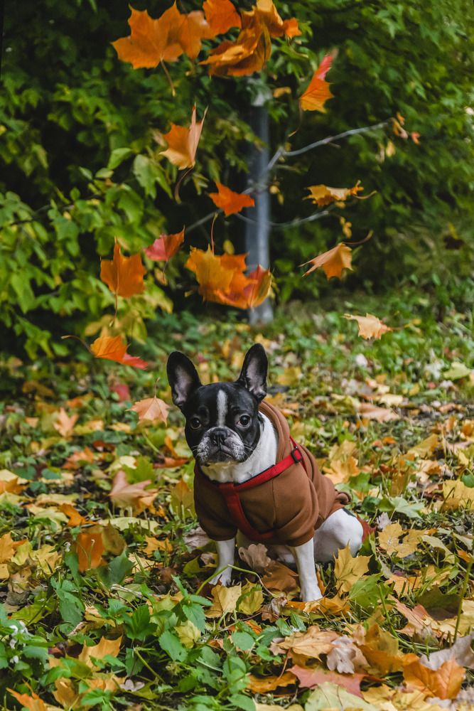 Photograph by Vera_PF