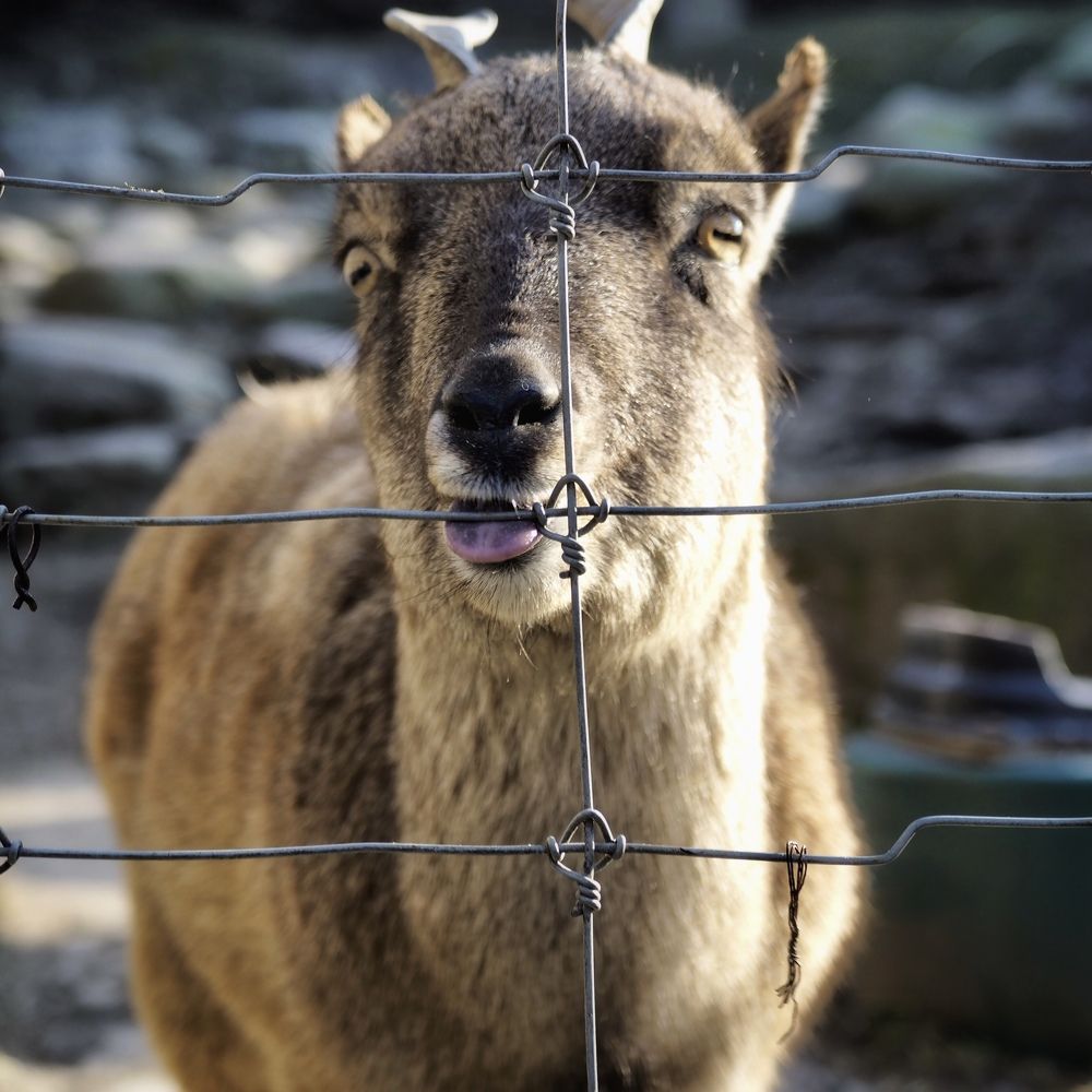 Photograph by Роман Суковач