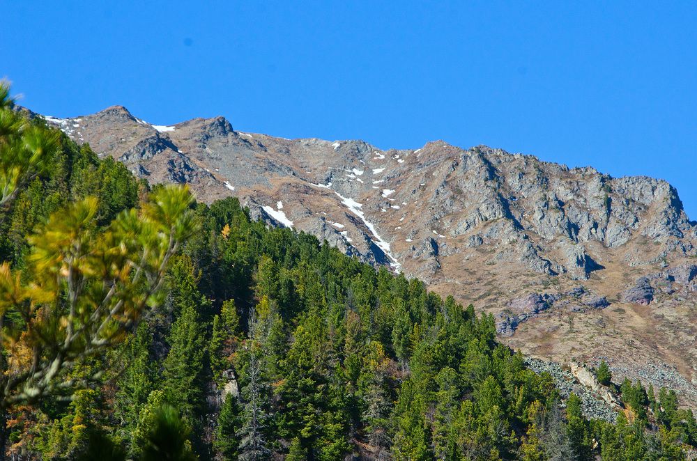 Photograph by Юрий Самойлов