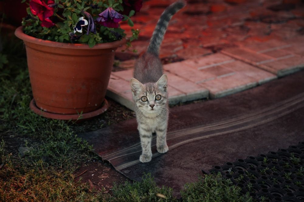 Photograph by дамир чекалин