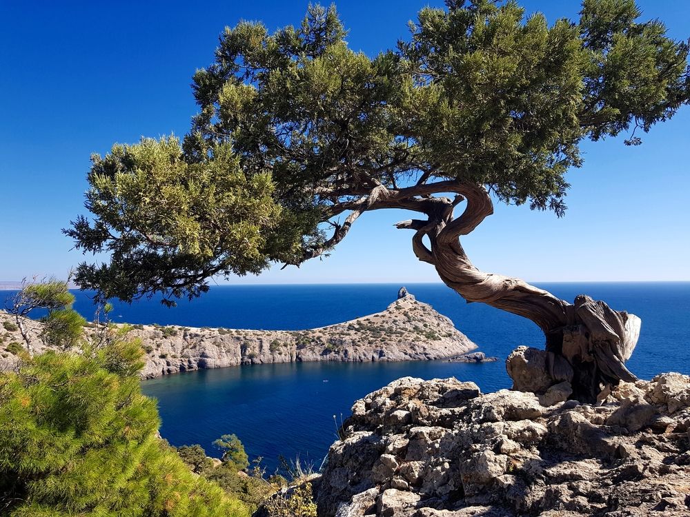 Photograph by Григорий Гуцол