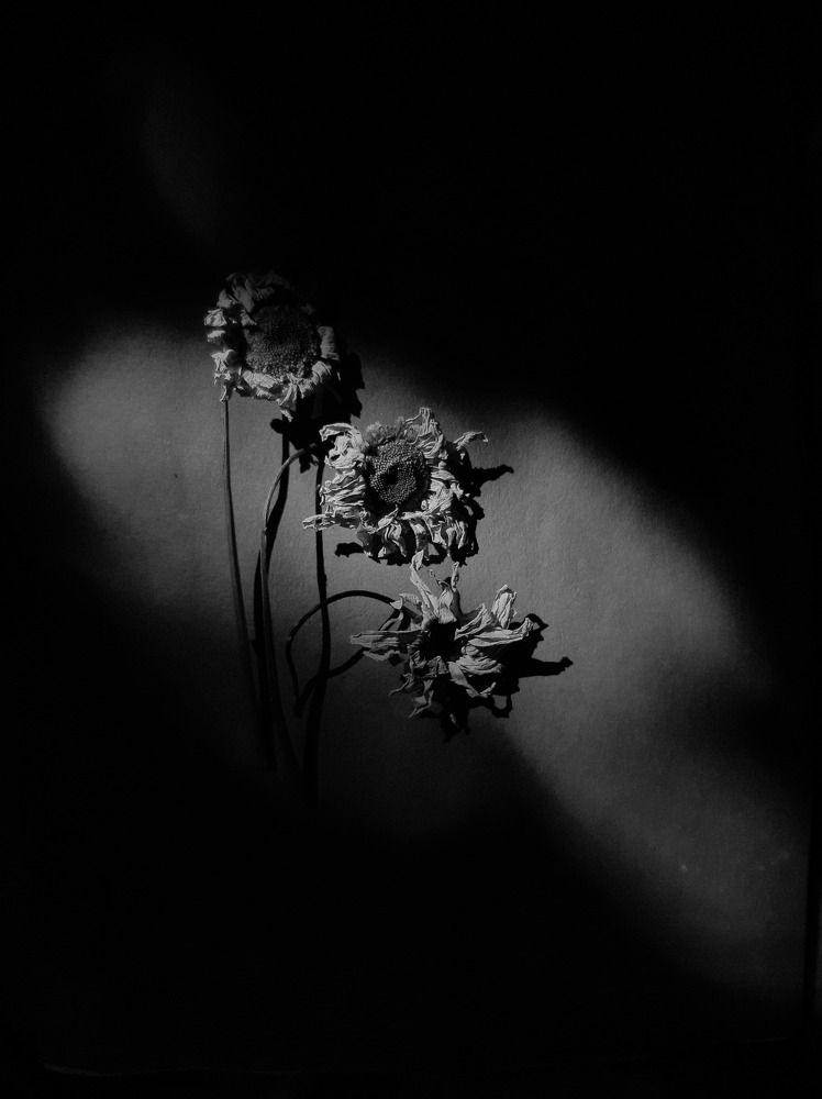 Photograph by Алия Латыйпова