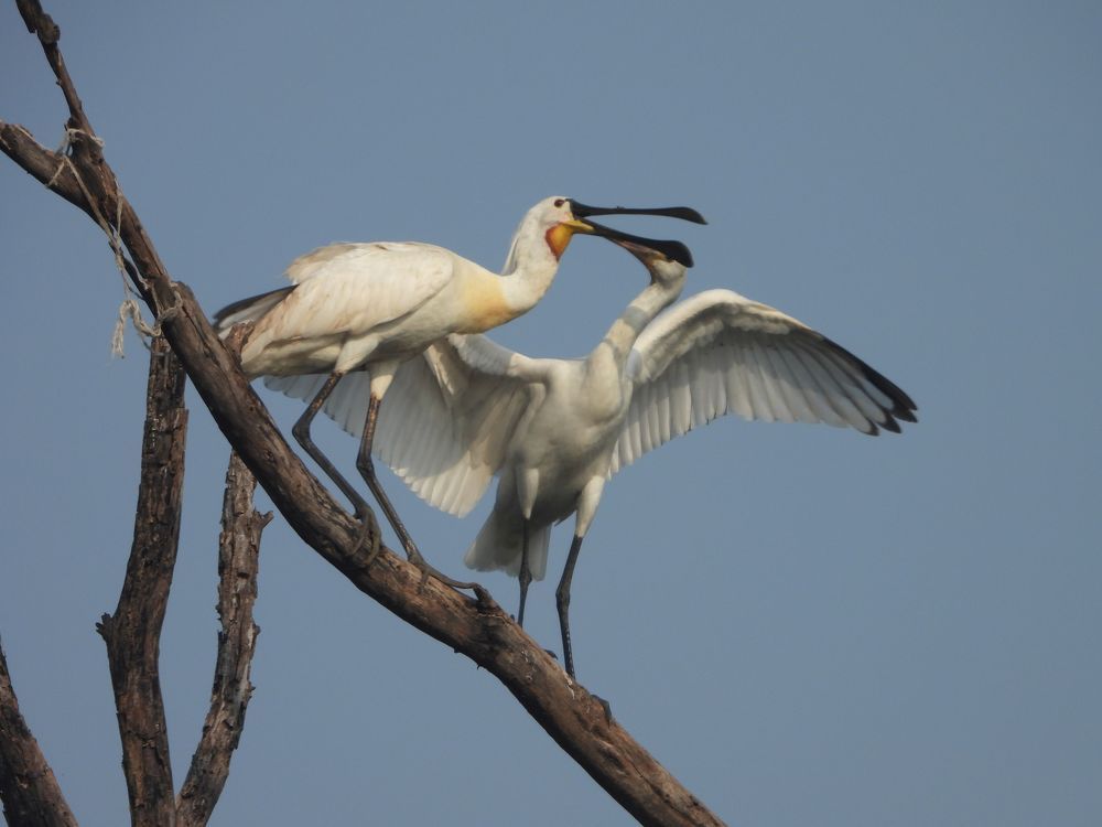 Photograph by Sougata Bhar