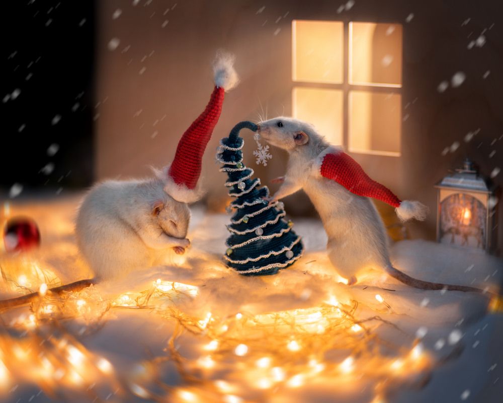 Photograph by Valentina Suvorova