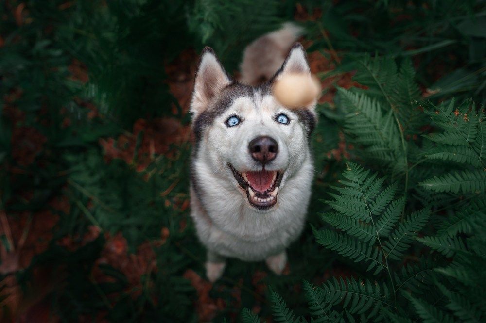 Photograph by Valentina Suvorova