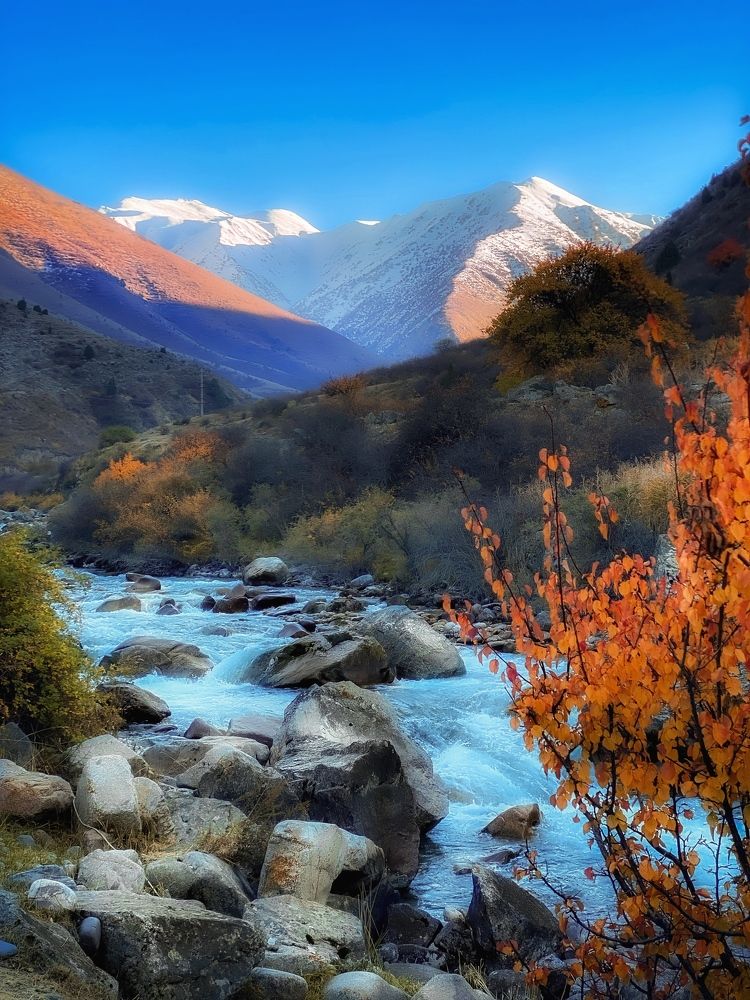 Photograph by Юлия Субботина