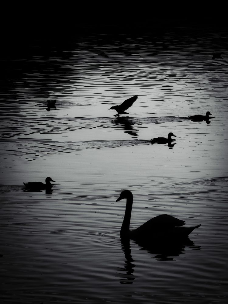 Photograph by Роман Суковач