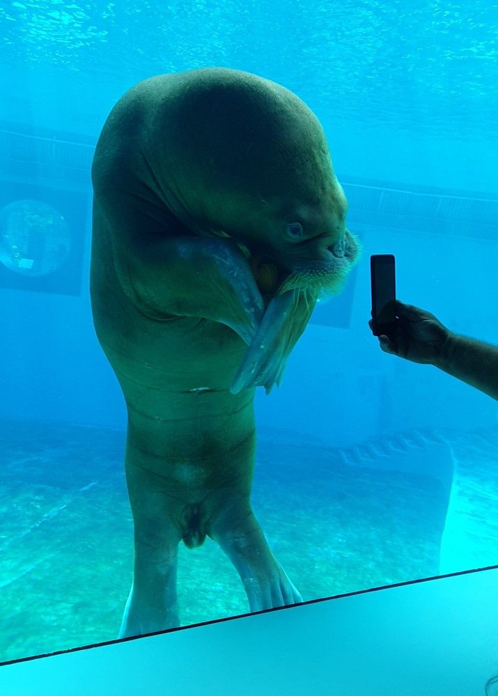 Photograph by Александра Михайлова