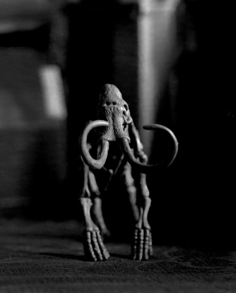 Photograph by Michael Sumerin