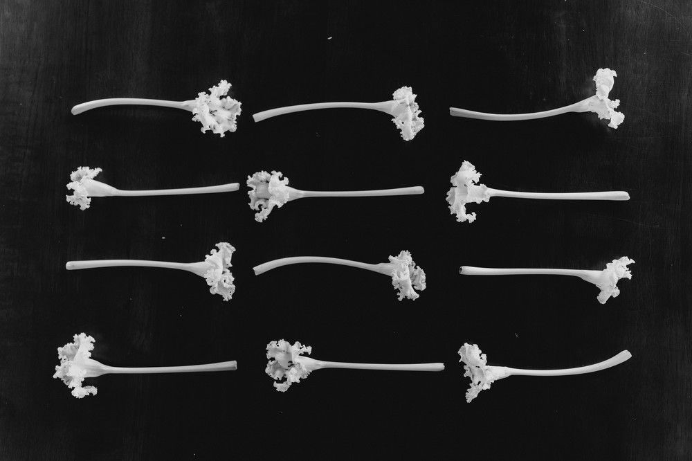 Photograph by Xenia Suvorova