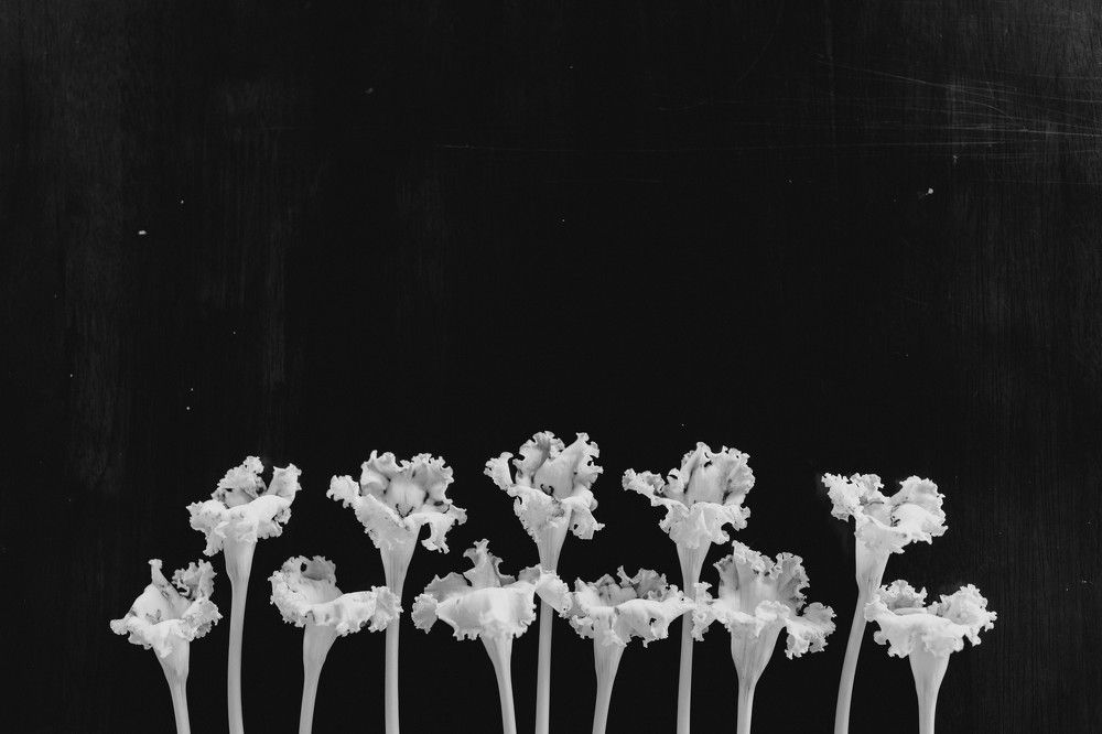 Photograph by Xenia Suvorova