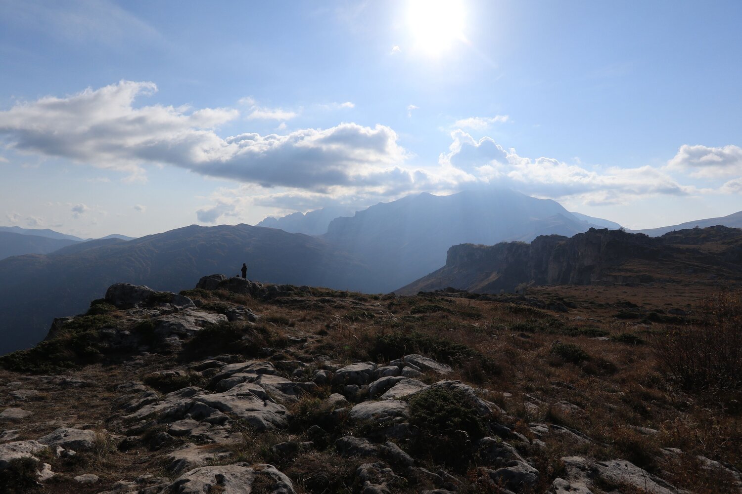 Photo #9652935