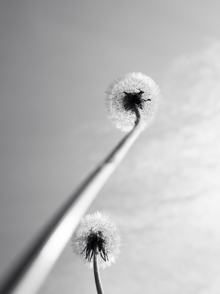 Photograph by Роман Суковач