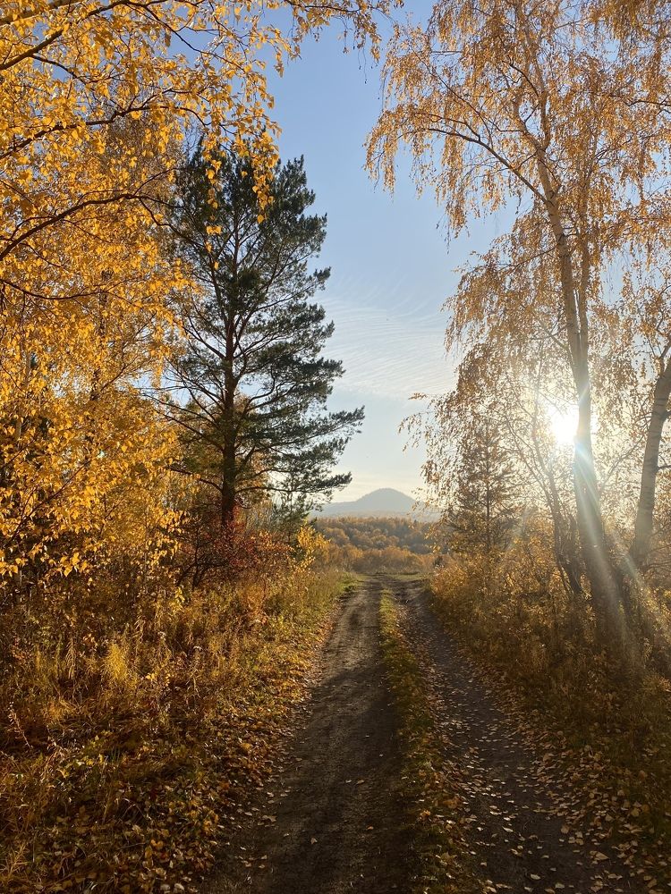 Photograph by Наталья Алина