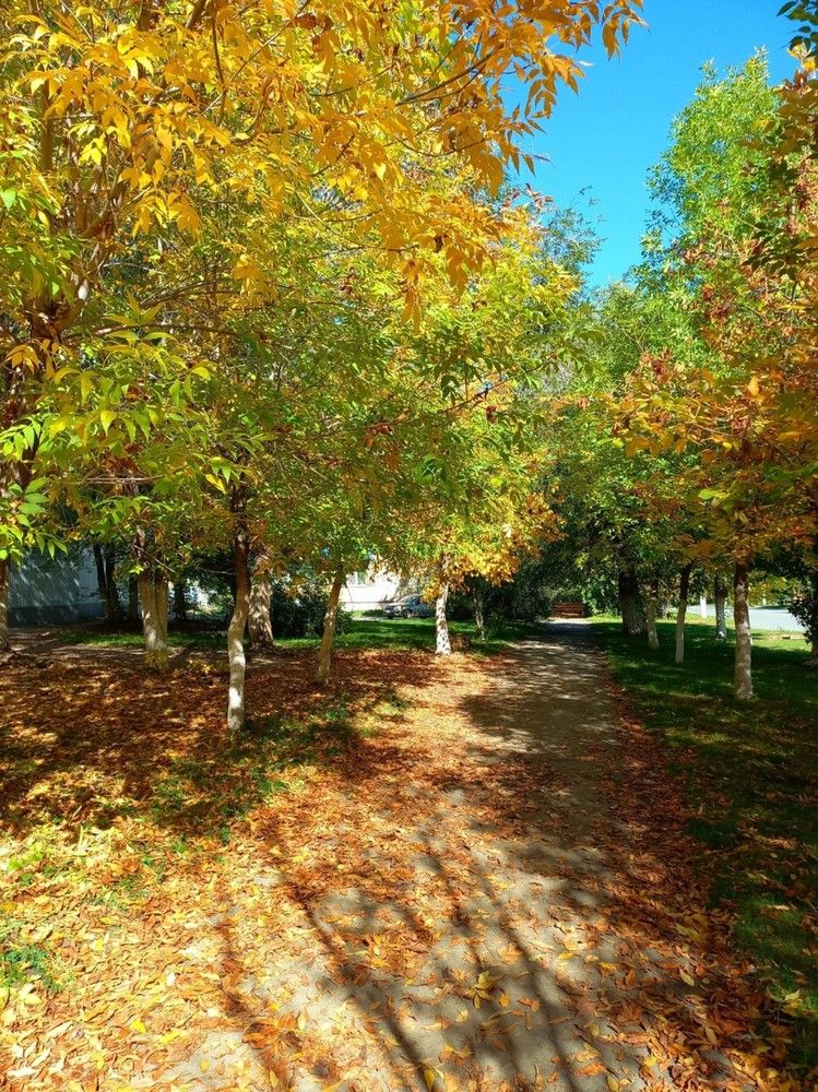 Фотография автора Наталья Крутицких