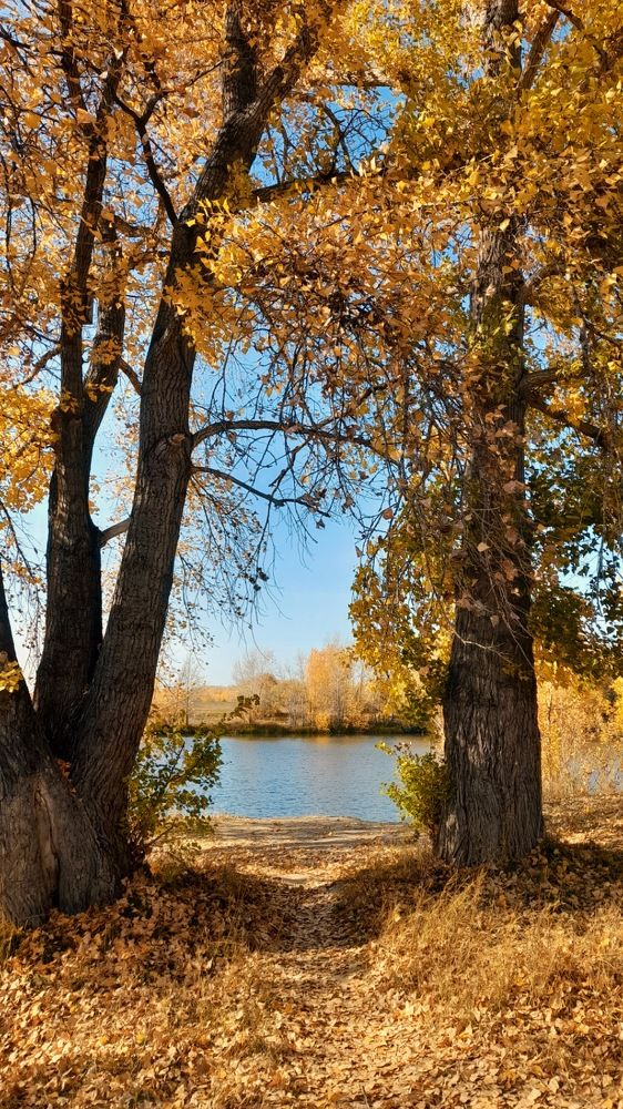 Фотография автора Анна Морозова