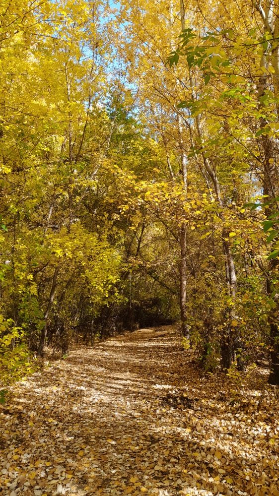 Фотография автора Анна Морозова