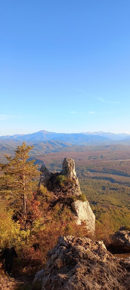 Фотография автора Татьяна Нарайкина
