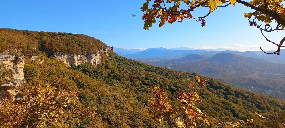Фотография автора Татьяна Нарайкина