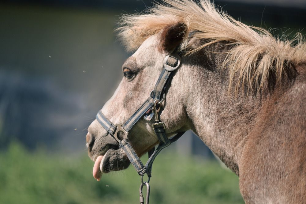 Photograph by Елена Ермакова