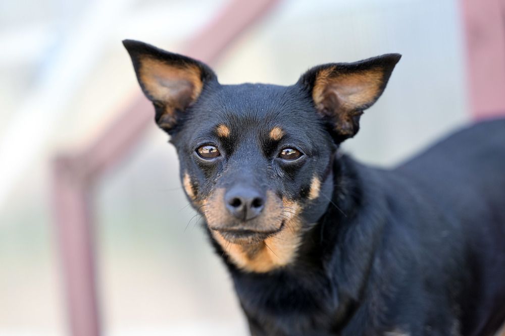 Photograph by Елена Ермакова