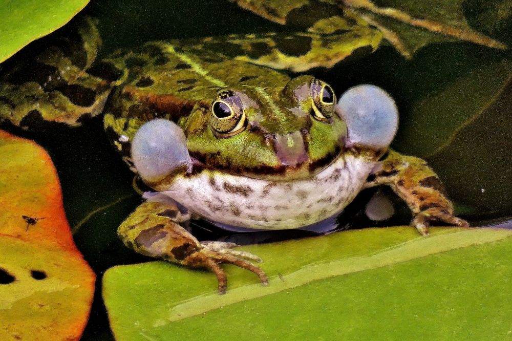 Photograph by backareva irina