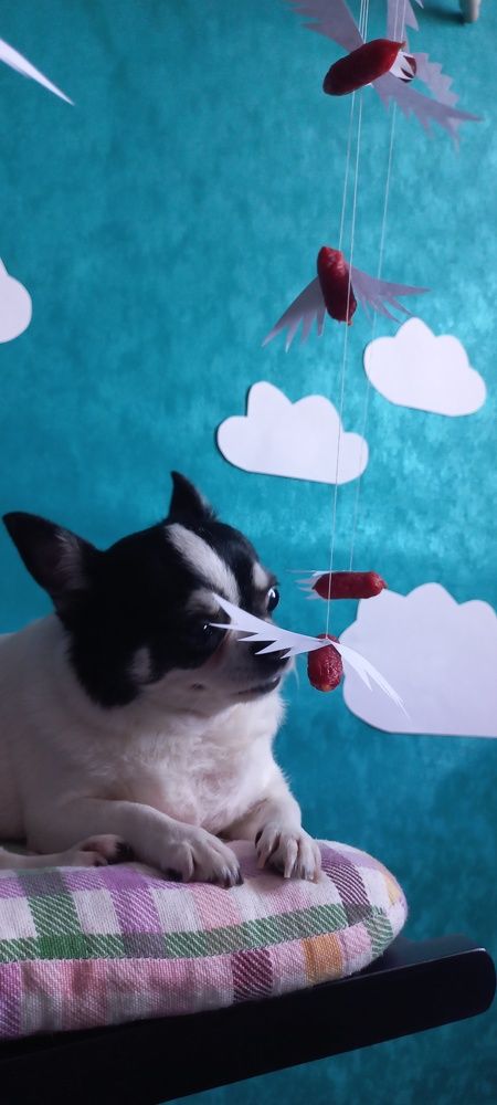 Фотография автора Татьяна Нарайкина