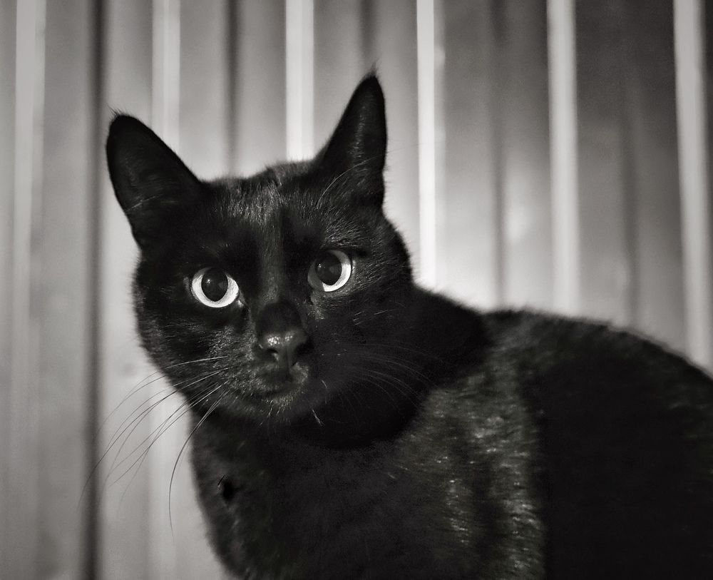 Photograph by Кира Бахвалова