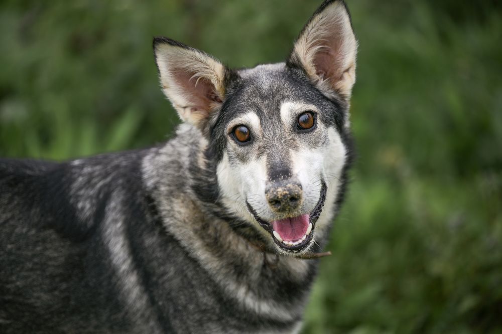 Photograph by Елена Ермакова