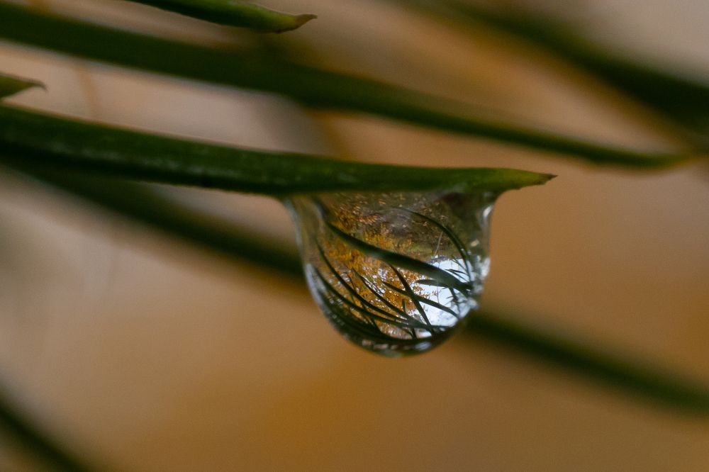 Photograph by Щепанов Дмитрий