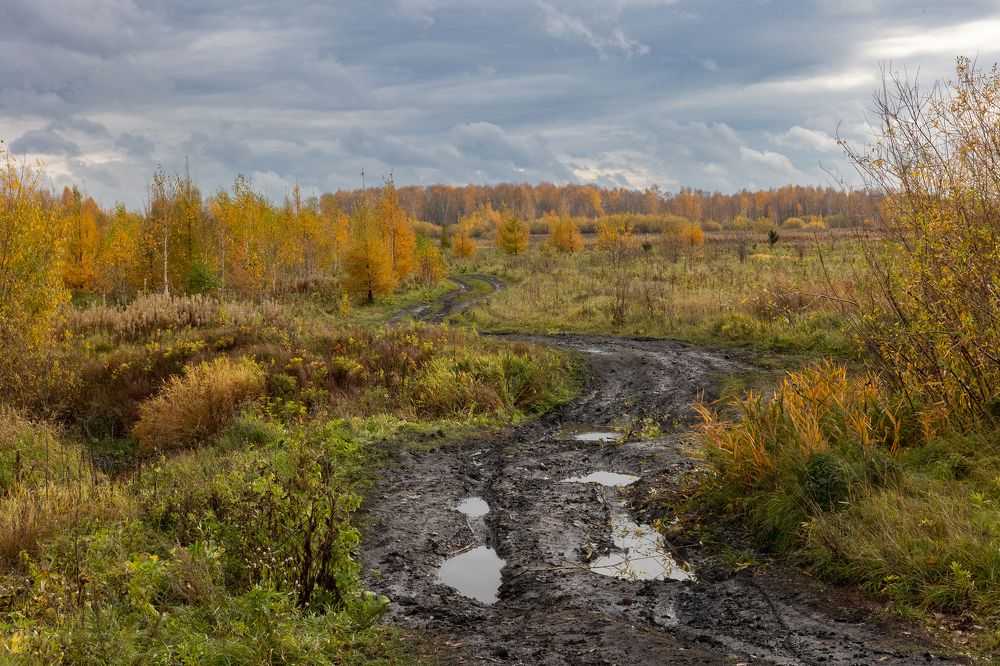 Photograph by Щепанов Дмитрий