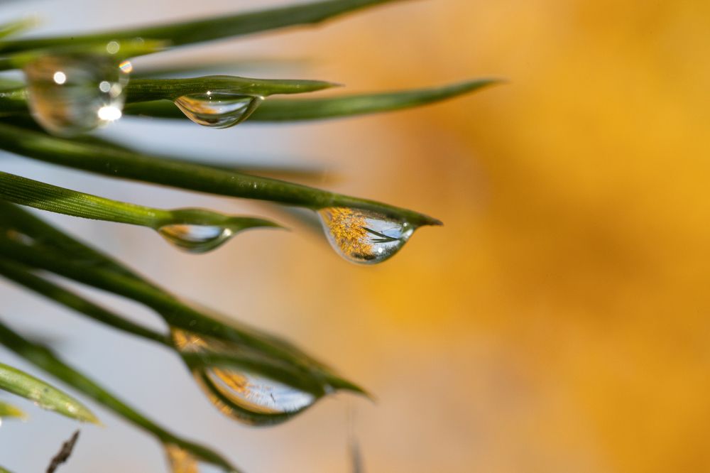 Photograph by Щепанов Дмитрий