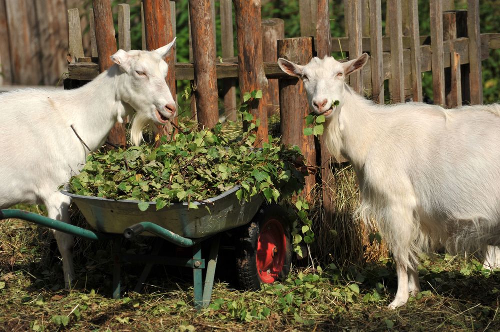 Photograph by Юрий Яковлев