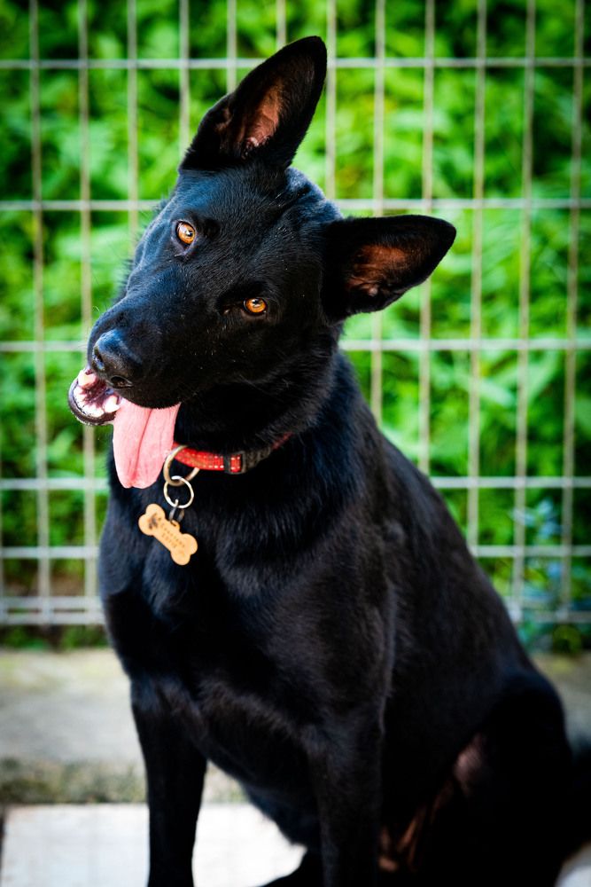 Photograph by EVELYN SIEW YEN CHAN