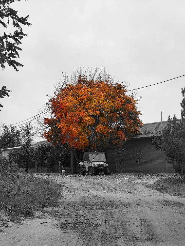 Photograph by Алиса Маркина